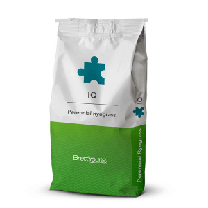 iQ Perennial Ryegrass