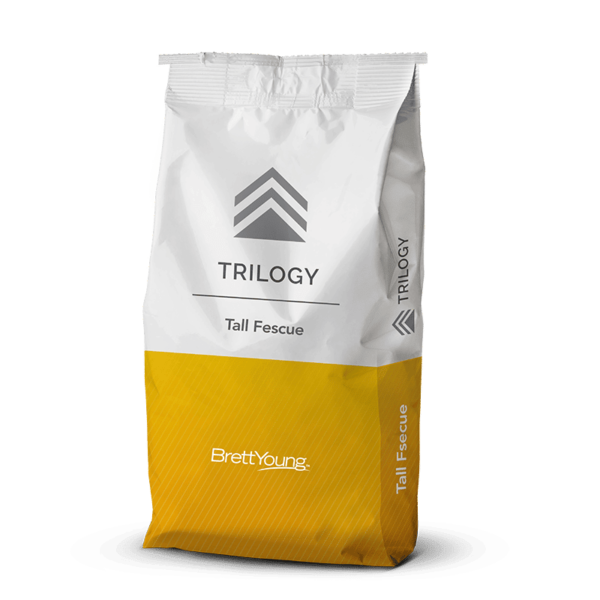 Trilogy Blend Tall Fescue