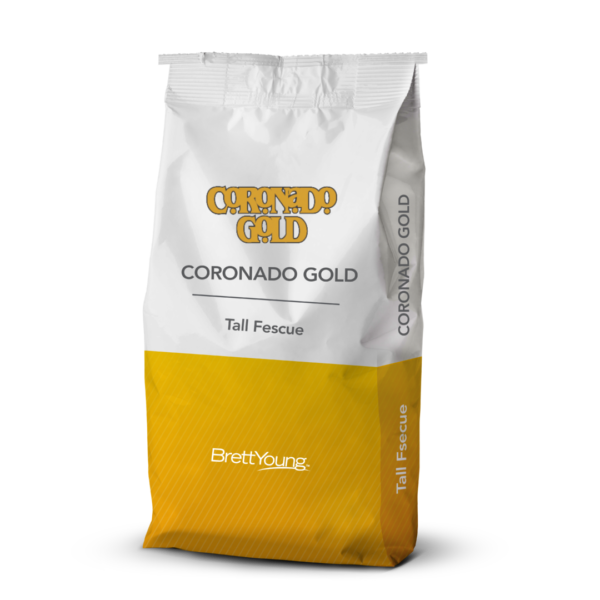 CORONOADO GOLD