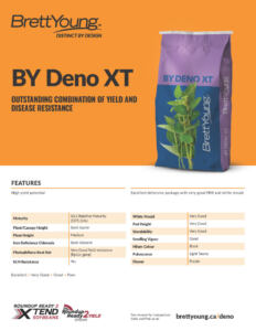 BY Deno XT Techsheet