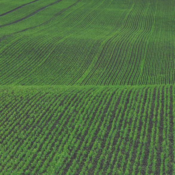 BY PLUS USA Confirmation BY PLUS USA Confirmation